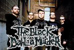 THE BLACK DAHLIA MURDER