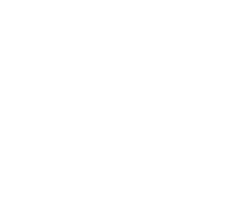 METAL ALLEGIANCE